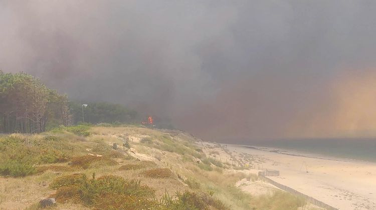 Forêt en bord de plage en train de brûler.